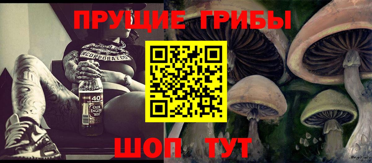 дарнет шоп  Вход с VPN  Шелехов  Псилоцибиновые грибы Psilocybine cubensis 