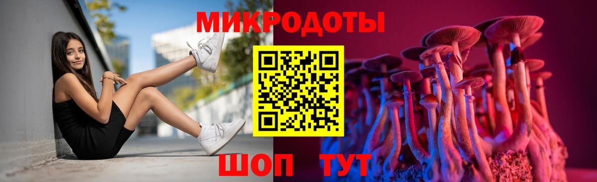 Псилоцибиновые грибы Psilocybine cubensis Шелехов
